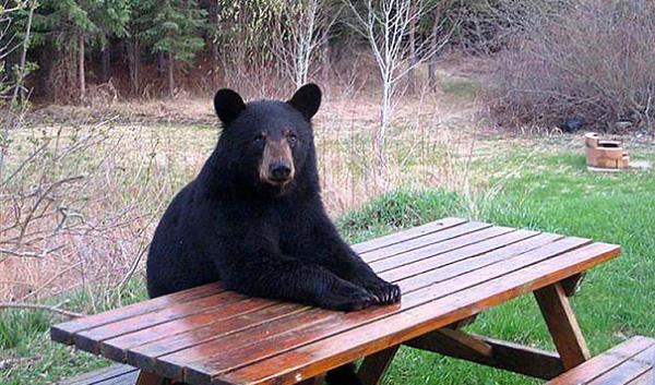 5. Otur, konumamz lazm.