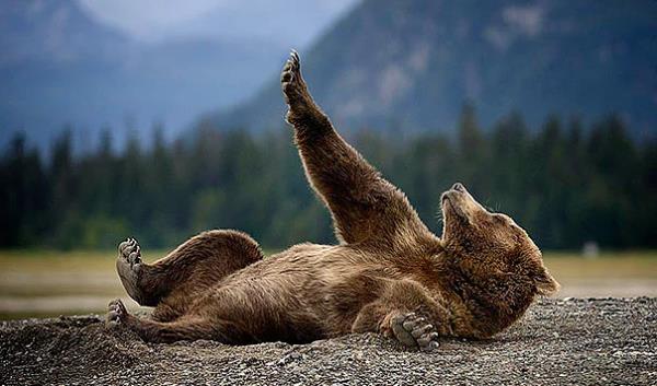 17. Anne 5 dakika daha yhaaa!!!