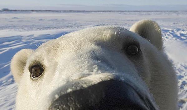 29. Alaska'da taklmacaaa #selfie #nofilter