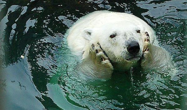 18. Ne Sargl kayp m etti?