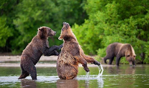 24. Aa aa aa yukar hah tam oras oooohh