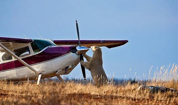 30. Bas abi mara, olmu olmas lazm