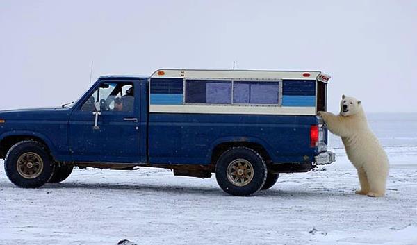 25. Hac fotoraf ekeceine el at da yoku aa vurduralm unu