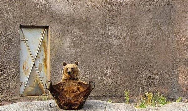 19. Oooh sabah sporu gibisi yok