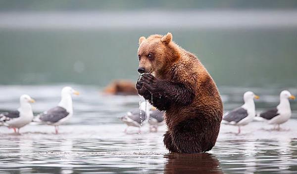 21. Kimsecikler yok balklarn hepsi benim hepsi benim
