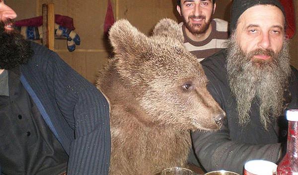 12. Abi nolcak bu memleketin hali ya...