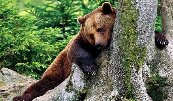 13. Ya imdi kim ie gidecek