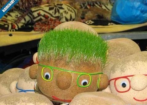 15. Birbirinden irkin im adamlar yetitirmek.