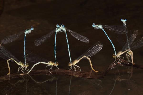 Doa - kinci - Hseyin Uur Gen