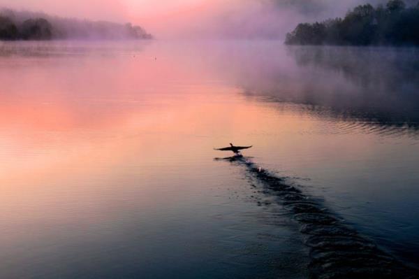 Doa- Birinci - Erdoan zer
