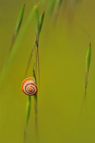 Doa - nc - Ahmet etin