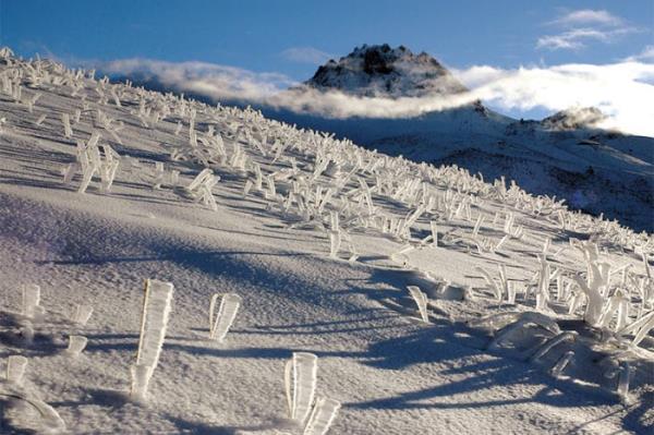 Erciyes Da&#8217;nn doruklarna doru sklaan akkz otu kmeleri, bir kar frtnasnn ardndan zerlerinde kalkan oluturan buzlar olduu halde karla kapl topraa tutunuyor. Nihat Karakaya kendisine &#8220;Doa&#8221; kategorisinde ikincilik kazandran fotoraf 2800 metre ykseklikte ekmi. Doa - kinci Nihat Karakaya, Kayseri, 2010