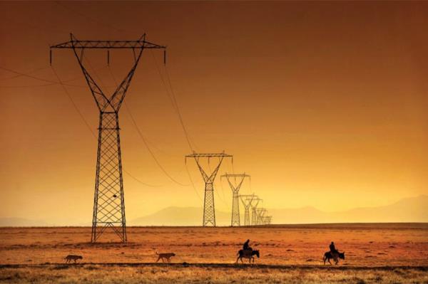 Geen yl iki fotorafyla iki kategoride birincilie deer bulunan smet Danyeli&#8217;nin fotorafndaki elektrik direkleri, gnbatmnda srnn peine den obanlar ve kpeklerini izleyen yaratklar andryor. Manzara - kinci smet Danyeli, Konya, 2010