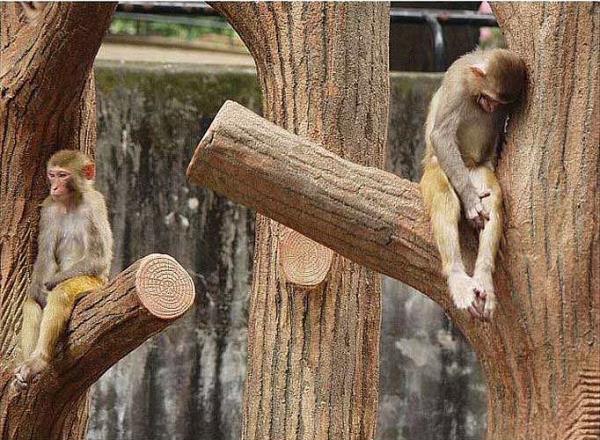 7-) Sevgililer gnnden bir hafta nce sevgilisinden ayrlmak istiyorsa