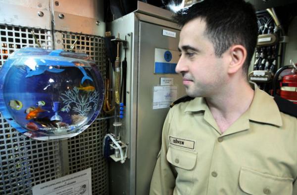 <p><b>AKVARYUMDAK BALIK</b></p>  Denizalt yzeye hi kmadan 50 gn su altnda kalabiliyor. Bar dnemlerindeki grevlerde gn  grmeden geen sre ortalama 20-25 gn.