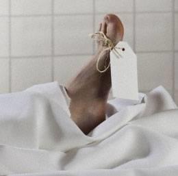 9. Akbabalarn ou insan ve sr lei yemekten lyor.