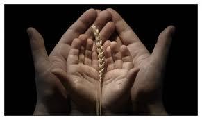 (En efdal dua, Arefe gn yaplandr.) [Beyheki]