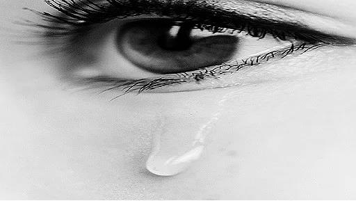 <p><b>15. Gz krpmak son derece nemli bir gz ilevidir</b></p>  Gz krpmak gz yan gzn tamamna datarak gz yzeyindeki kiri temizlemeye yardmc olur. Gzya gz nemlendirmeye ve kayganlatrmaya yardmc olur ve ayrca nemli anti-bakteriyel zelliklere sahiptir.