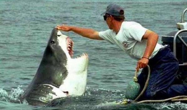 6. Sevebileceiniz daha uysal hayvanlar bulmanz mmkn...