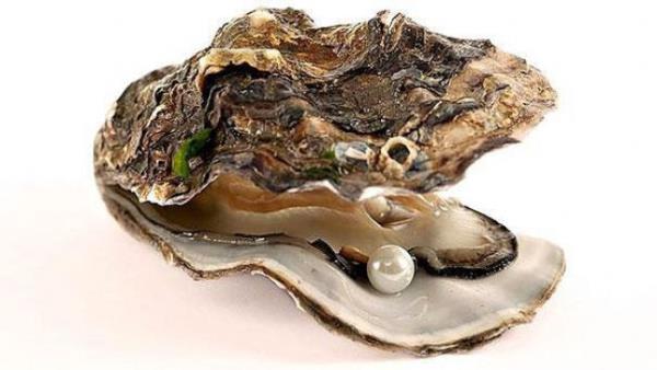 stiridyeler iftleme iin hangi cinsiyet daha uygunsa cinsiyetlerini ona gre deitirebilirler