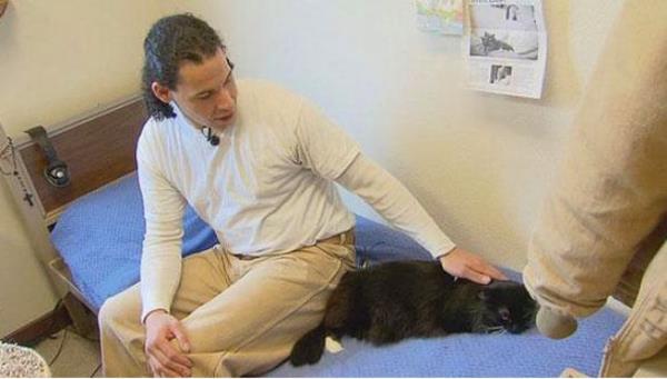 Washington'da bir hapishane, barnaktaki uyutulacak kediler ile mahkumlar eletirerek bir rehabilitasyon program yrtyor. Hem kediler hem de mahkumlar iin iyi bir ey gibi gzkyor