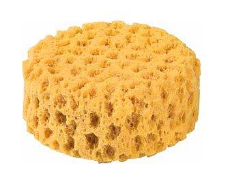 Odaya sinen sigara kokusuna kar; Odanzn baz kelerine slak bir snger koyun. Islak snger tm sigara kokusunu alacaktr.