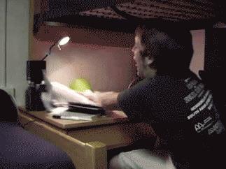 Terk eden sevgiliyi dnmekten ders alamamak.