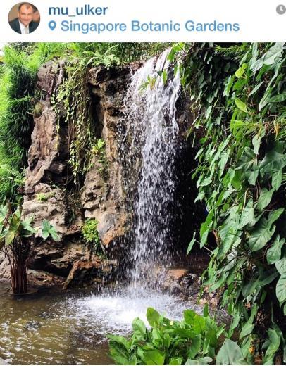 Yldz Holding Ynetim Kurulu Bakan Murat lker, Singapore Botanic Gardens'a hayran oluyor