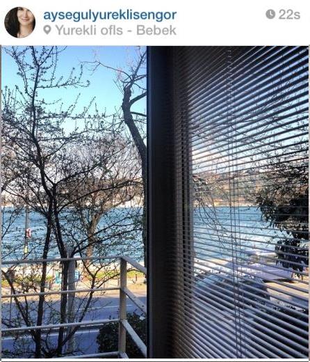 Yrekli Danmanlk'n sahibi Ayegl Yrekli engr ise Bebek'teki ofisinden "Ofis manzaras... Aalarda erken aan iekler" yorumuyla instagram'da gne balad.