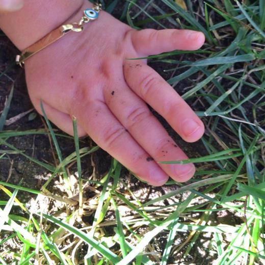 Twigy'nin sahibi Sinan ncel, ortak projeler yapt ln model Gisele Bndchen'in paylat bir fotorafa kendi sayfasnda yer verdi. Fotorafta minik kz kolunda nazar boncuklu bir bileklik tayor. Gisele Bndchen, fotoraf "Doa anay seviyorum" diyerek paylat. Sz konusu bileklii Sinan ncel'in hediye ettii renildi.