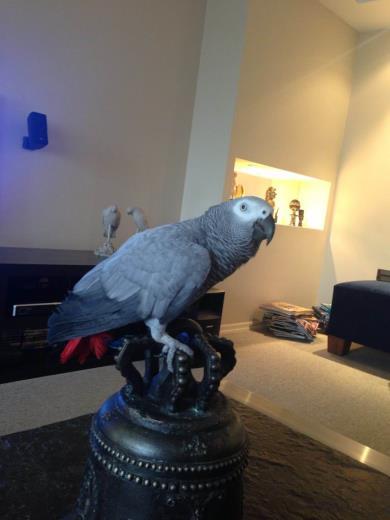 Erol Kaynar, 8 Mart Dnya Kadnlar Gn iin papaannn olduu bir fotoraf paylat. Kadnlara ?yi ki varsnz? diyen Kaynar, papaannn da kadnlar tebrik ettiini yazd