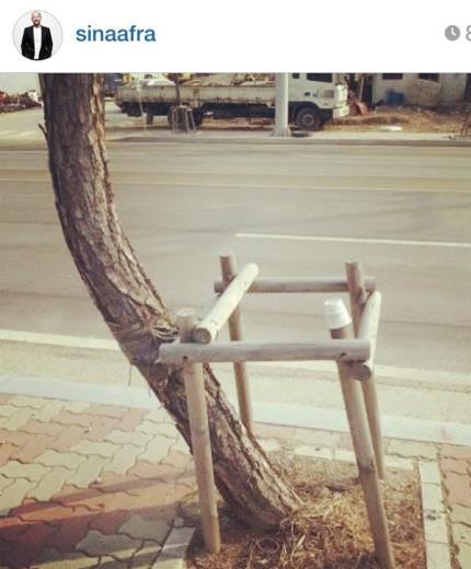 Markafoni?nin ortaklarndan Sina Afra "Dier taraftan aalarn bile bakaldrd bir lkedeyiz #yasakbizezor" diyerek bir aa fotoraf paylat.