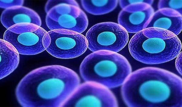 Vcudunuzda bulunan her bir hcre iinde 6 milyon kimyasal tepkime meydana gelecek.