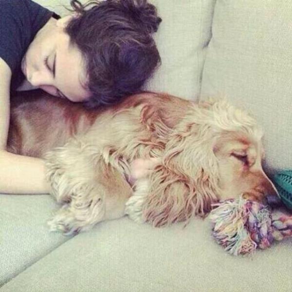 YK KARAYEL Uyumay ok seviyoruz biz