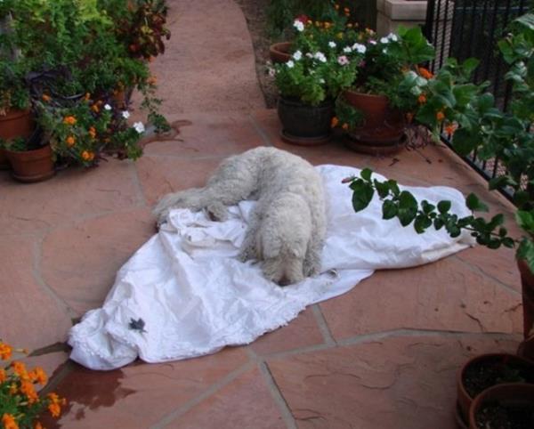 Kpei iin kestirebilecek bir yatak