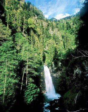 <p><b>PALOVT ELALES</b></p>  Rize, amlhemin'de bulunan elale Kakar dalar milli park iinde tabiat gzelliklerinden biridir. Zilkale harabesini getikten sonra balayan elale 15 m. yksekliindedir.