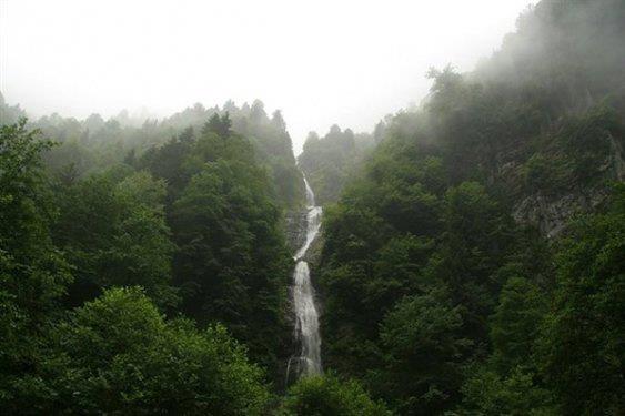 <p><b>BULUT ELALES</b></p>  amlhemin ile Ayder Yaylas arasndaki Tar Deresi'nden vadiye birok kk dml elale akar. Bunlarn en uzunu ve seyrine doyum olmayan, 250 metre ykseklikten  kademeli olarak akan Bulut elalesi'dir. amlhemin ile merkezine 2 km uzaklkta bulunan elaleye aalarn arasndan, su sesleri eliinde yaplan bir yry ile varmak mmkndr.