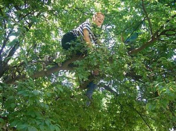 Baharn geldiini mjdeleyen komunun erik aac