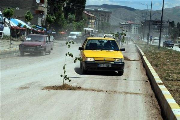 Yksekova ofrler ve Otomobilciler odas yeleri, iledeki bozuk yollara dikkat ekmek amacyla caddedeki ukurlara fidan dikti.