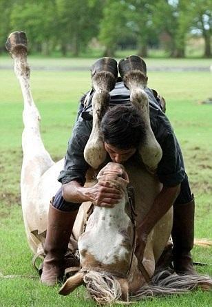 Sonunda Tatta, kendi kendini eiterek bir at terbiyecisi oldu. imdi de, dnyann drt bir yanndan gelen binlerce turistin karsnda performans sergiliyor.
