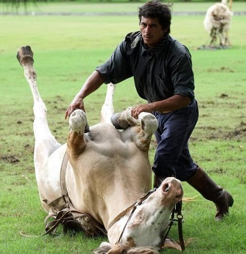 Tatta, Arjantin'in bakenti Buenos Aires'te ailesinin alt bir iftlikte atlarn arasnda byd. Her ey, iftliin sahiplerinin Tatta'nn henz bir ocukken atlarla olan ban grp onu pratik yapmas iin tevik etmesiyle balad.