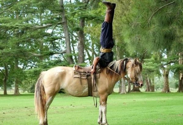 Tatta, performanslar srasnda atlarn kulaklarna fsldayarak onlar yattrmasyla ve onlarla bir kpekle oyun oynar gibi oynamasyla izleyenleri artyor.