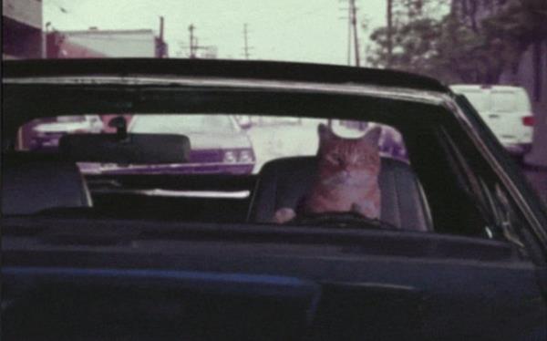 <p><b>1. Arabalarn ka bastna bakma hastal </b></p>  Son olarak; Sokakta, okulda grdnz arabalarn en fazla ka km hza kabildiine bakmak ve okulda en hzl arabann hangi retmene ait olduuna karar vermeyi ieren gzel bir alkanlk,oyun.