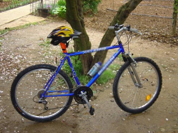 Neden oyun? nk aksesuar bol olan kii her zaman bunu bir ova dntrecektir ve herkes bisikletini vecektir.