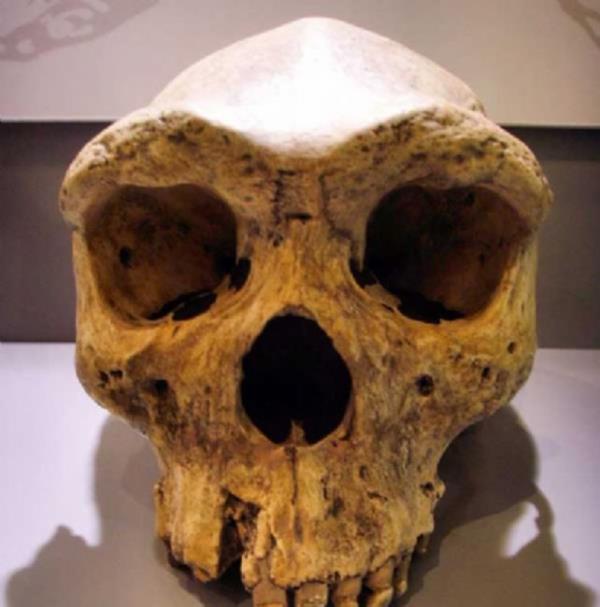 Kabwe kafatas.. Tahminen ya 200 bin ila 300 bin yllk.