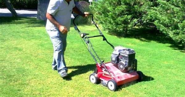 imlerin kesilen ksmlar yine gbre iin kullanlsn.