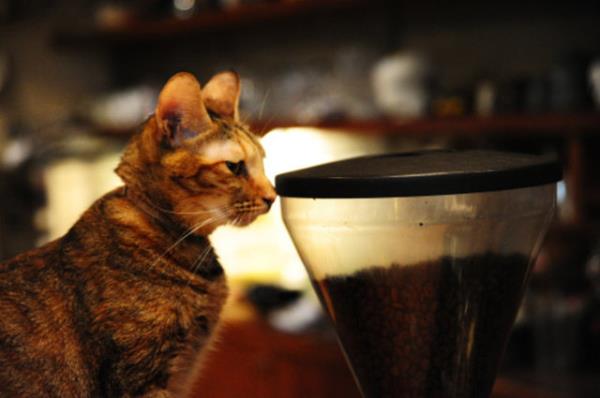 Kafein ayrca endieye(anksiyete) sebep olur ki bu da birok insan iin ciddi bir problemdir. Ancak kafein ok daha ktsne sebep olabilir.