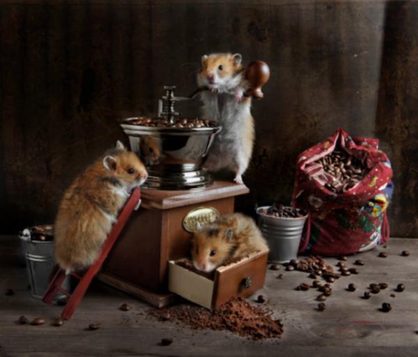 Doal kafein sentetikten daha iyi deildir