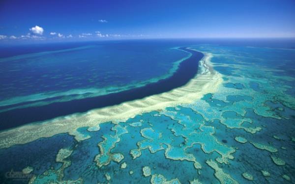 Great Barrier Reef - Australia