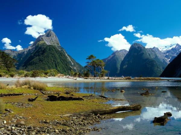 Milford Sound - Yeni Zelanda